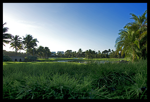 golf Palm Beach